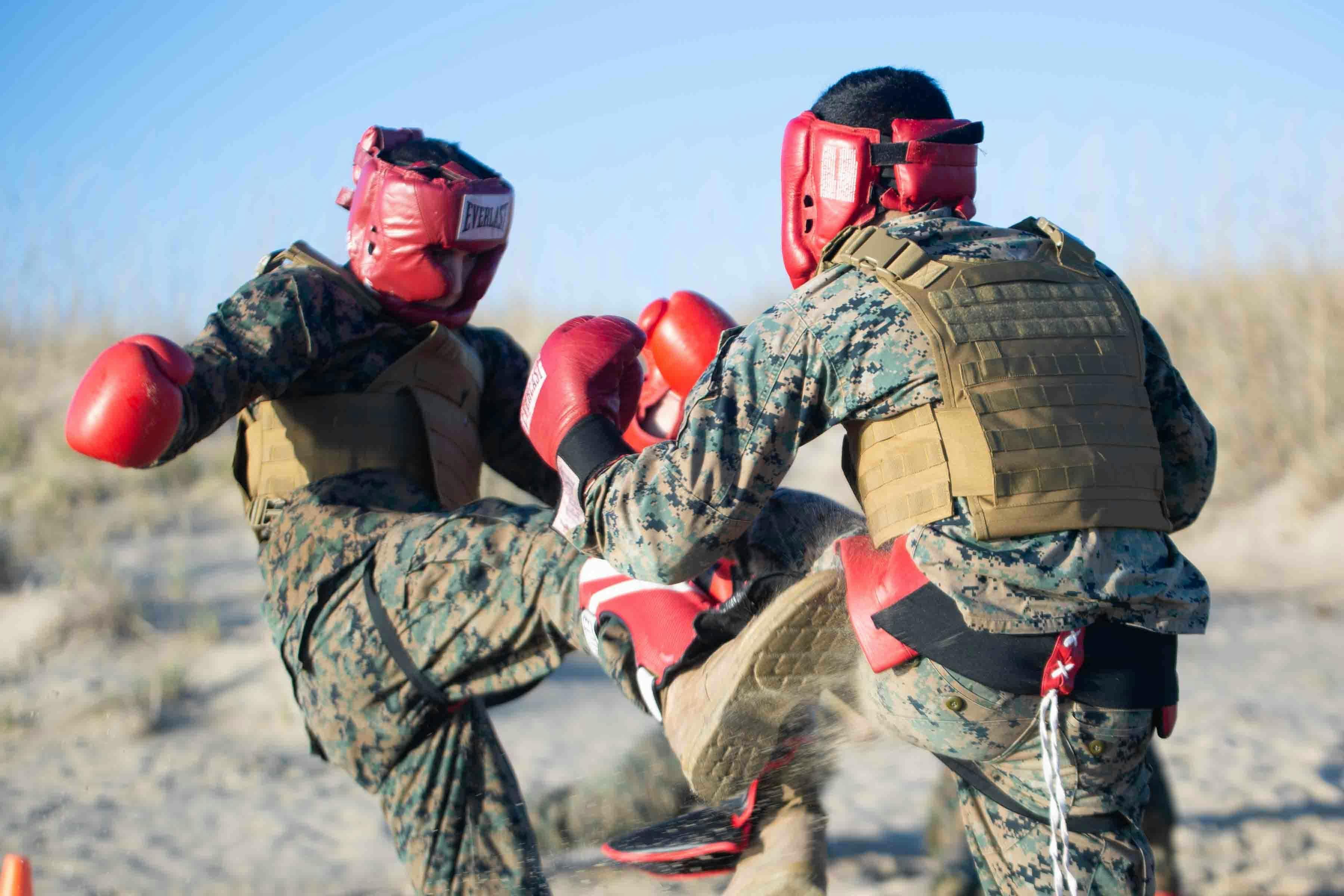 Marine Corps Martial Arts Program - MCMAP